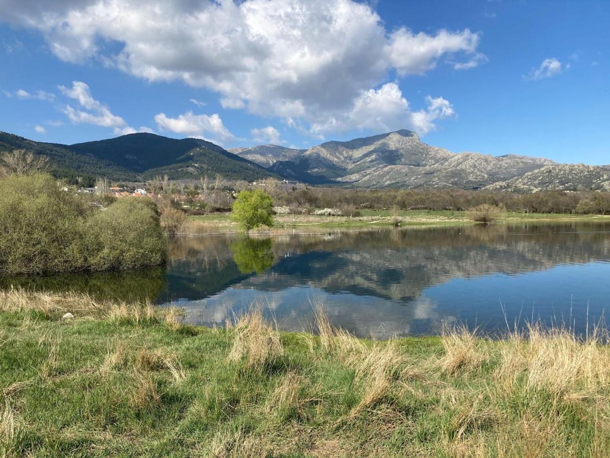 Los Cedros, Gran Chalet Con Piscina Y Apartamento En Navacerrada Extérieur photo