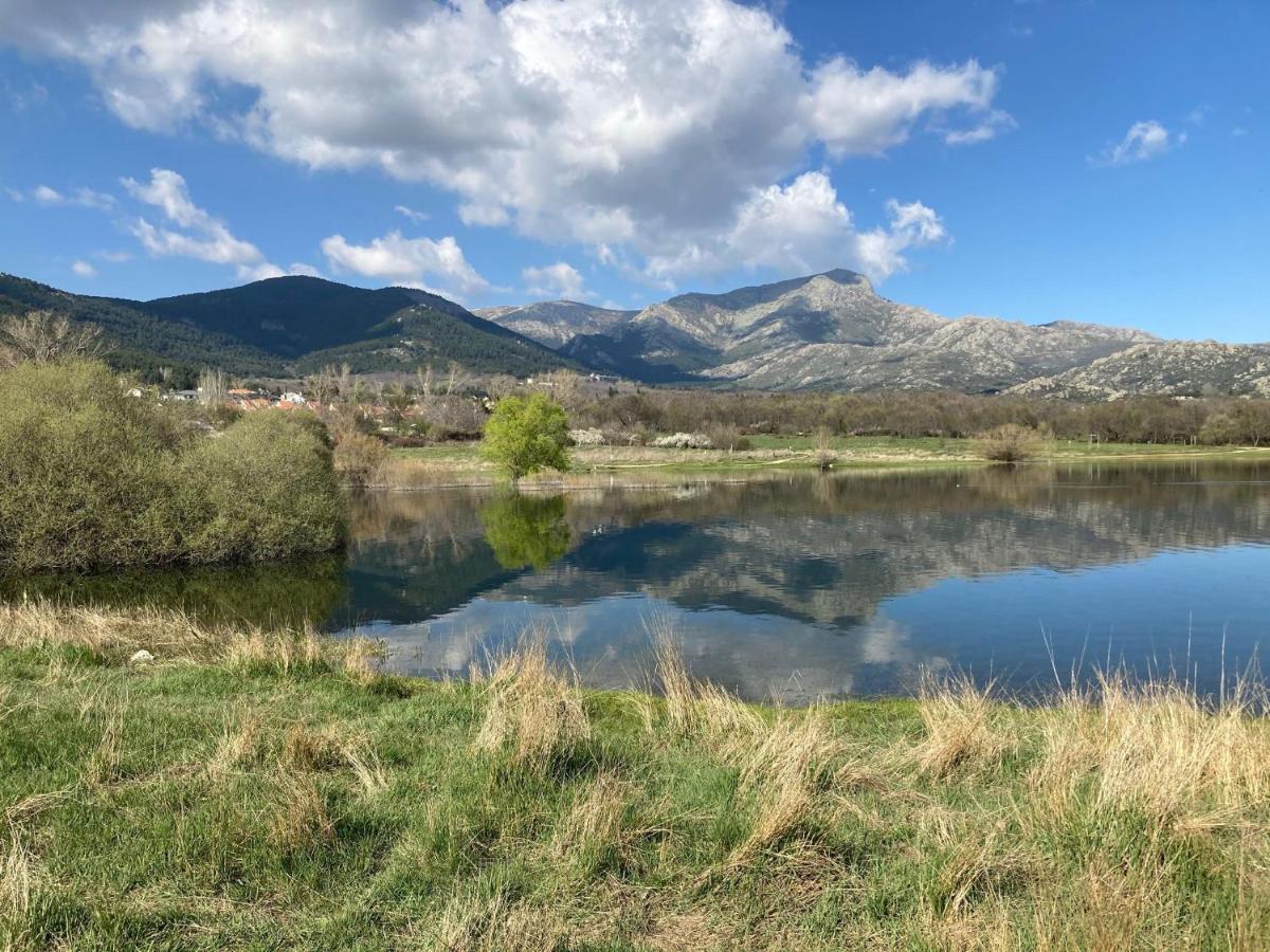 Villa Los Cedros, Gran Chalet Con Piscina Y Apartamento En Navacerrada Extérieur photo