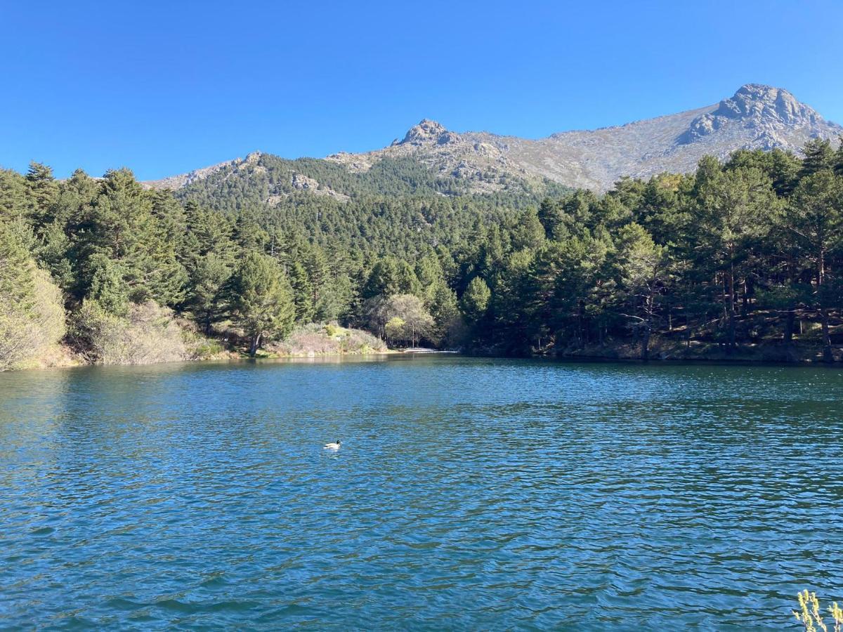 Los Cedros, Gran Chalet Con Piscina Y Apartamento En Navacerrada Extérieur photo